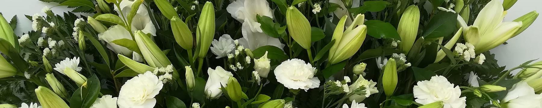 Floristeria y Vivero Agaplan